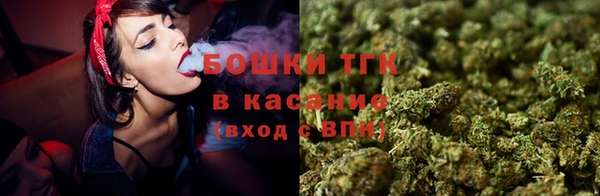 ГАЛЛЮЦИНОГЕННЫЕ ГРИБЫ Магас