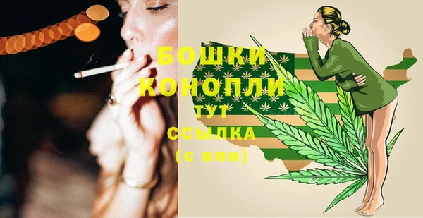 ГАЛЛЮЦИНОГЕННЫЕ ГРИБЫ Магас