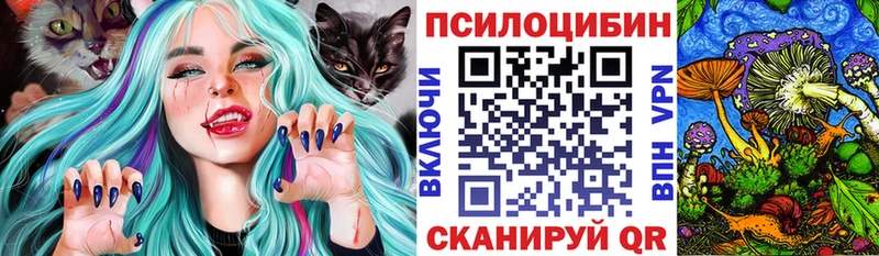 Купить закладки  Кимовск  Галлюциногенные грибы мухоморы 